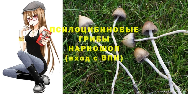 МДМА Дмитровск