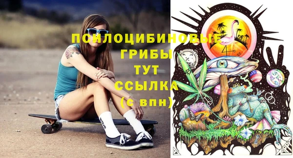 дурь Дмитров