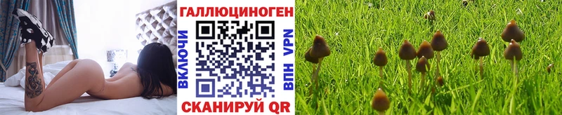 Купить  Томари  Псилоцибиновые грибы Magic Shrooms 